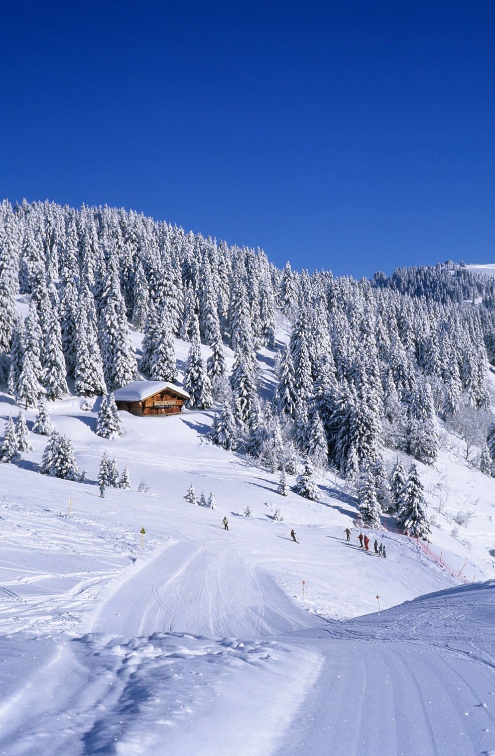 Chalet dans la montagne avec de la neige au milieu d'une forêt dans la nature , station de ski les saisies